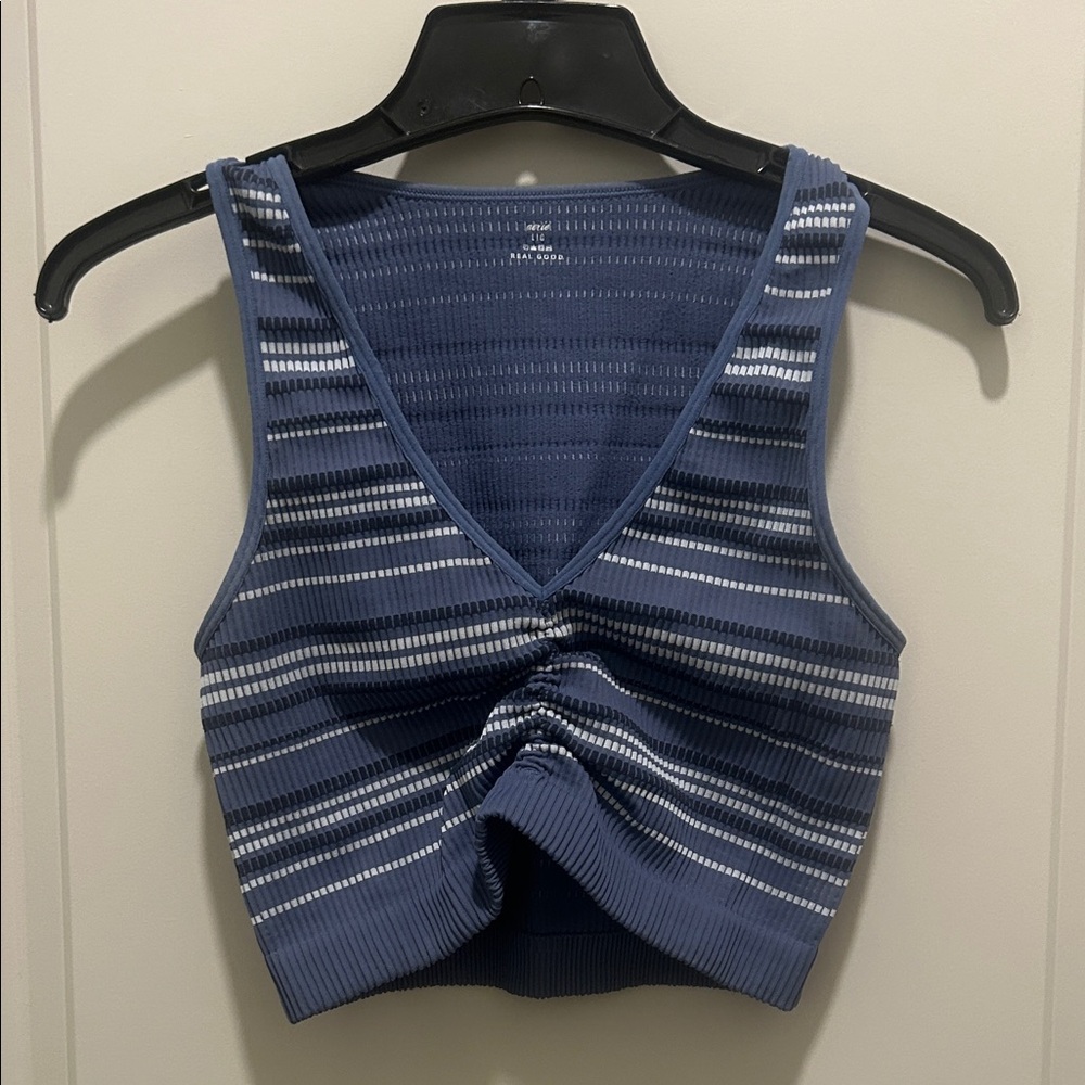 Aerie Blue and White Striped Bra Top
